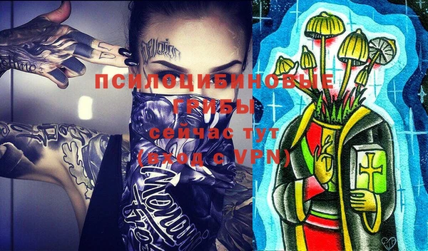 дурь Волоколамск