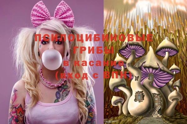 spice Вязьма
