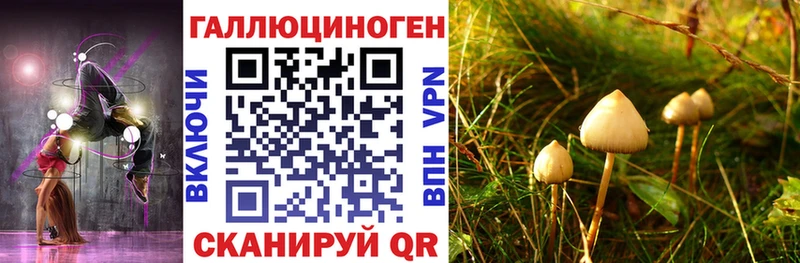 блэк спрут ссылка Южно-Сахалинск Галлюциногенные грибы Psilocybine cubensis